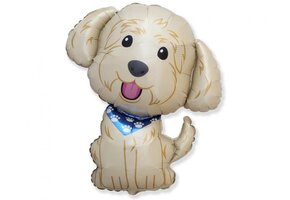 Cobberdog - 24 inch - Flex