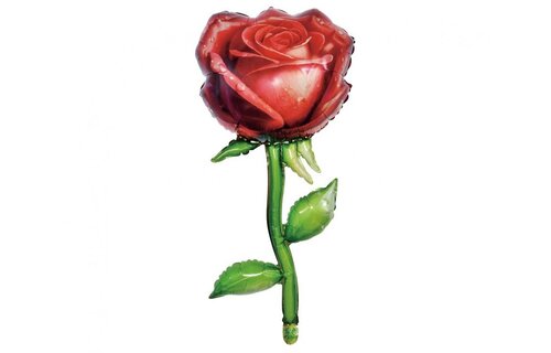 Red Rose -  37x76 cm