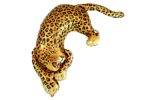 Leopard - 24 inch - Flex