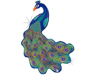 Peacock - 42 inc / 107 cm - Betallic