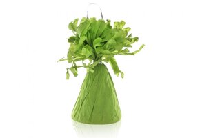 Gewichtje Paper - Lime Green - 145 gram - 12 pcs