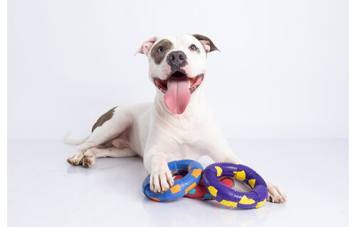 Dur - Dog Toy - Ring LARGE - 1 Stuk