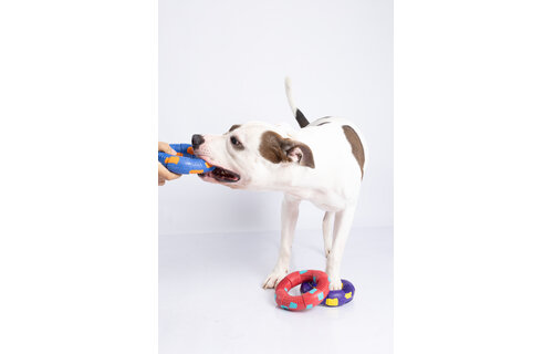 Dur - Dog Toy - Ring LARGE - 1 Stuk