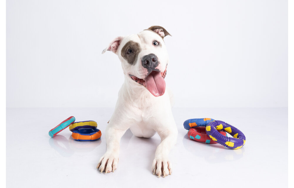 Dur - Dog Toy - Ring LARGE - 1 piece