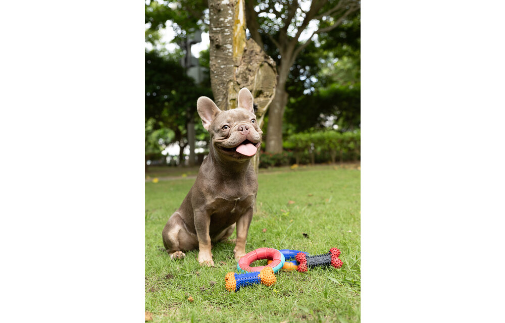 Dur - Dog Toy - Ring MEDIUM - 1 Stuk