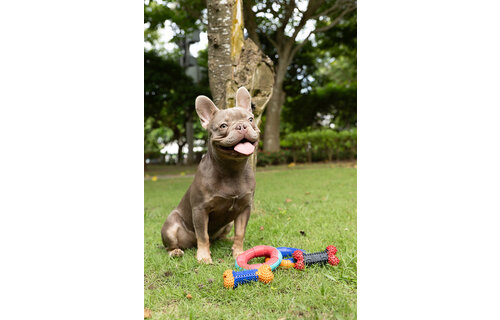 Dur - Dog Toy - Ring MEDIUM - 1 Stuk