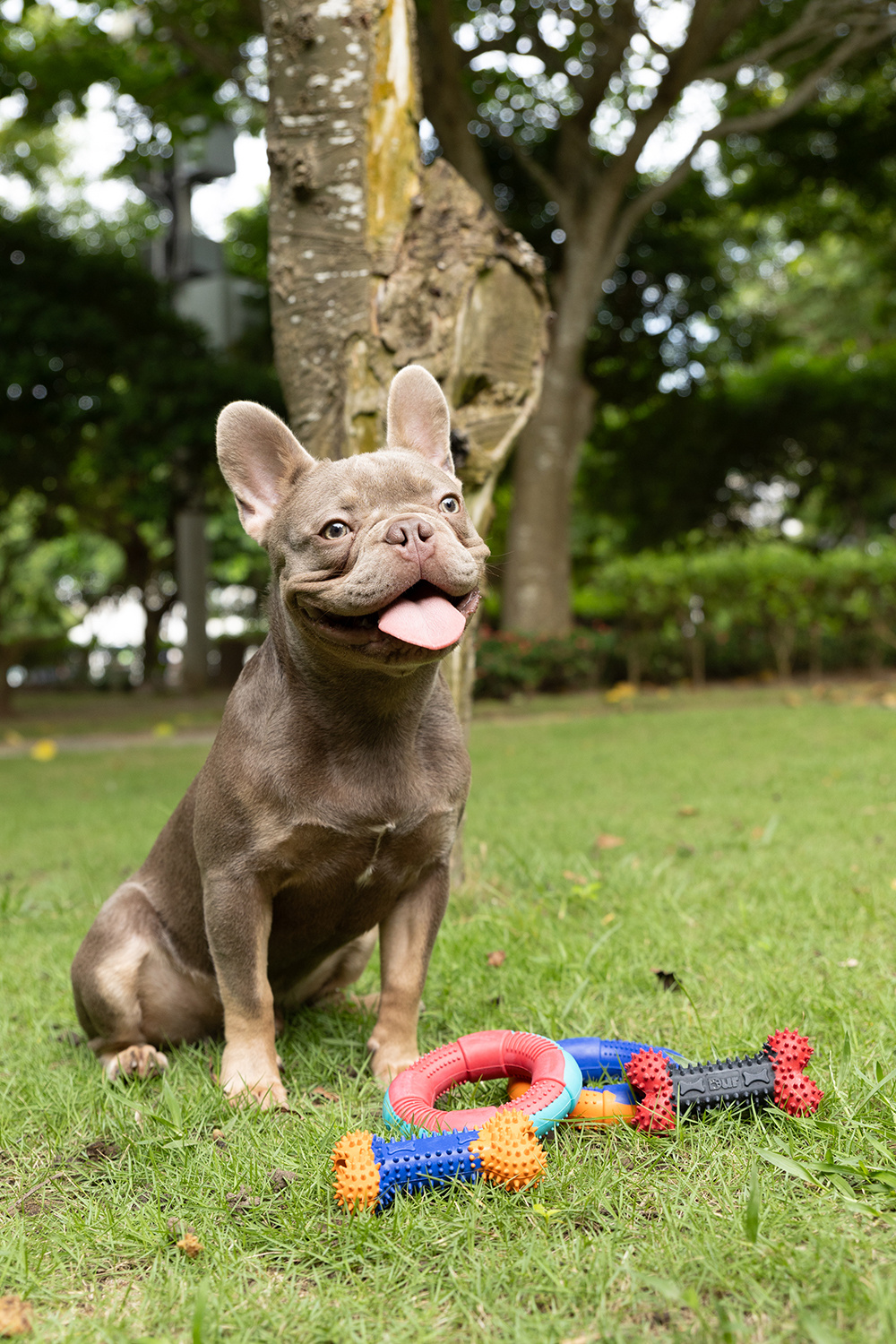 Dur - Dog Toy - Ring MEDIUM - 1 Stuk