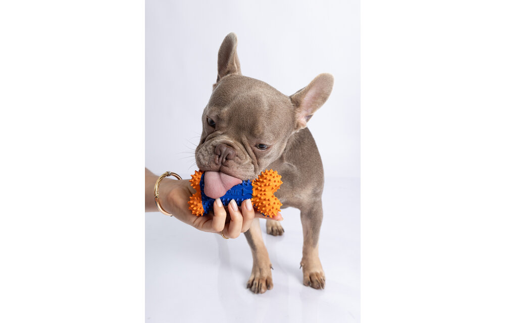 Dur - Dog Toy - Bone Small - 1 piece