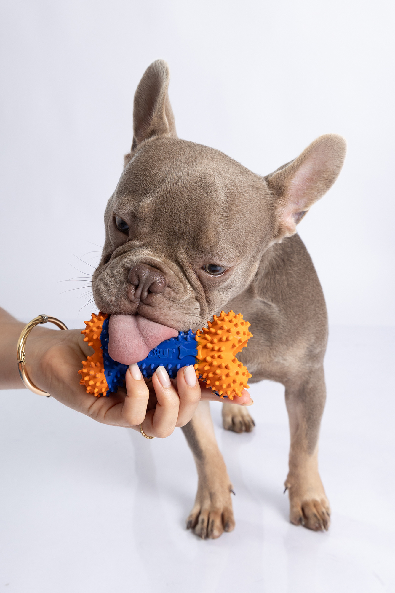 Dur - Dog Toy - Bone Small - 1 piece