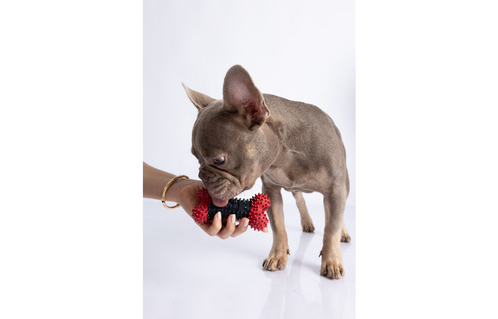 Dur - Dog Toy - Bone Small - 1 piece