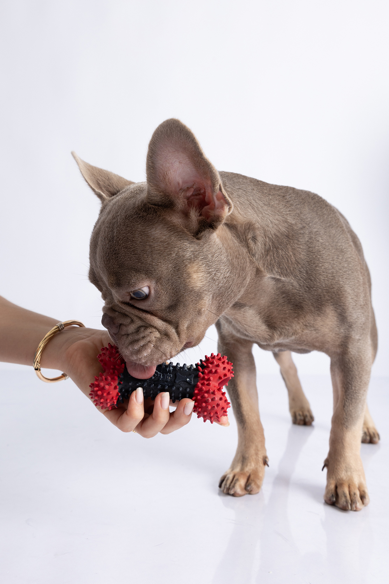 Dur - Dog Toy - Bone Small - 1 piece