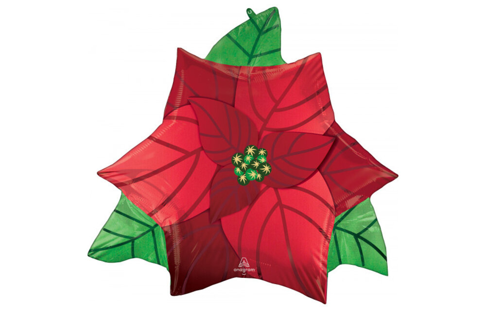 Kerstroos /Poinsetta - 26 x 24 inch - Anagram