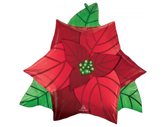 Kerstroos /Poinsetta - 26 x 24 inch - Anagram
