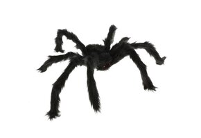 Large Furry Spider - 60cm