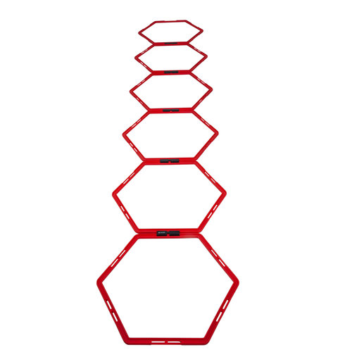 Pure2Improve  Loopladder - Agility Grid - Achthoekig