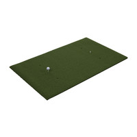 Golfmat - Set van 2 - 50x100 cm Pure2Improve Golfmat - Set van 2 - 50x100 cm