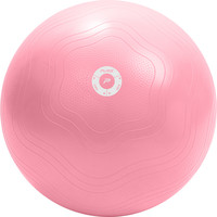 Yogabal Met Pomp - Roze - Ø65 cm Pure2Improve Yogabal Met Pomp - Roze - Ø65 cm