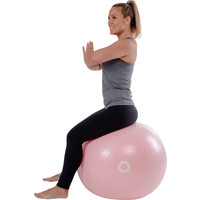 Yogabal Met Pomp - Roze - Ø65 cm Pure2Improve Yogabal Met Pomp - Roze - Ø65 cm