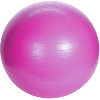 Yogabal - Roze - Inclusief Pomp Sportamundo Yogabal - Roze - Inclusief Pomp