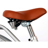 Omafiets 20 & 24 Zoll - Mädchenfahrrad Inkl. Hand- und Rücktrittbremse - Mattsilber Volare Omafiets 20 & 24 Zoll - Mädchenfahrrad Inkl. Hand- und Rücktrittbremse - Mattsilber