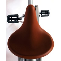 Omafiets 20 & 24 Zoll - Mädchenfahrrad Inkl. Hand- und Rücktrittbremse - Mattsilber Volare Omafiets 20 & 24 Zoll - Mädchenfahrrad Inkl. Hand- und Rücktrittbremse - Mattsilber