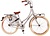 Omafiets 28 Inch - Meisjesfiets Incl. Hand- & Terugtraprem - Mat Zilver