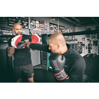 Brute Brute Training Boks Pads - Rood & Wit