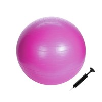 Yogabal - Roze - Inclusief Pomp Sportamundo Yogabal - Roze - Inclusief Pomp