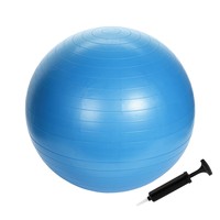 Sportamundo Yogabal - Licht Blauw - Inclusief Pomp