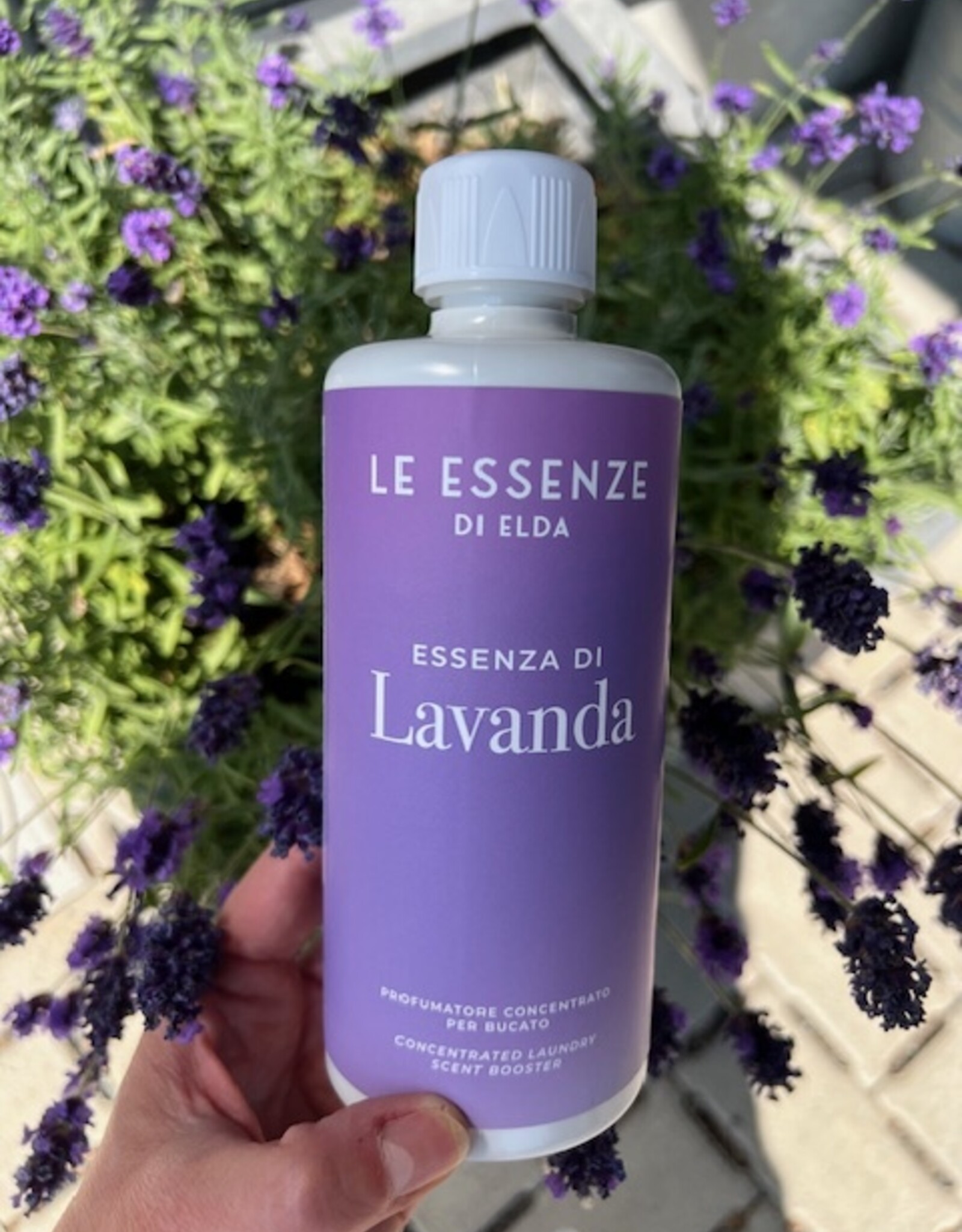 Le Essenze di Elda Wasparfum 'Le essenze di Elda'LAVANDA