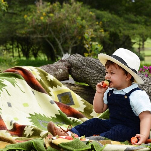 Mini Alpaca Blankets