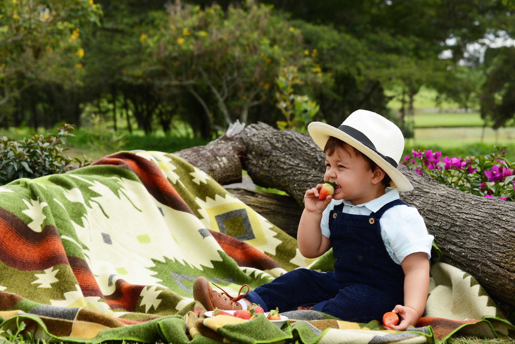 Petites couvertures en laine d'alpaga d'Equateur