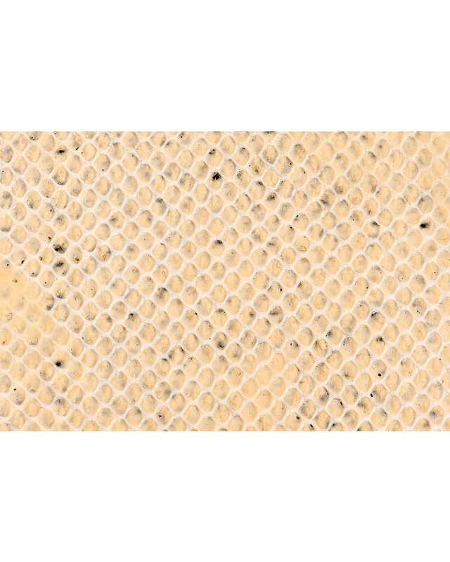 EcuaFina Wollteppich - 150 cm x 130 cm