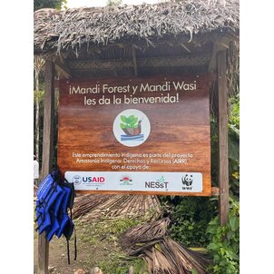 Mandi Wasi Necklace - handmade from seeds