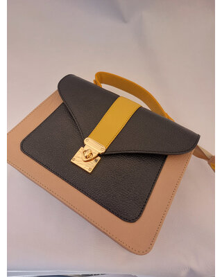 CCJ Cuero Y Color Handtas 25-032