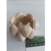 Tagua Bracelet Triangle Beige