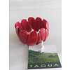 Tagua Bracelet Triangle Brown
