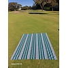 Picnic Blanket Fiesta Green