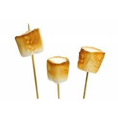 TOASTED MARSHMALLOWS