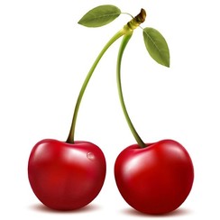 CHERRY EXTRACT