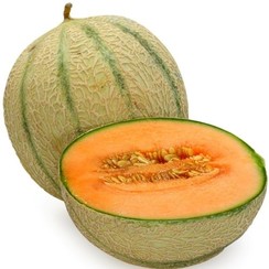 CANTALOUPE