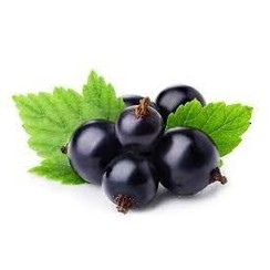 BLACKCURRANT