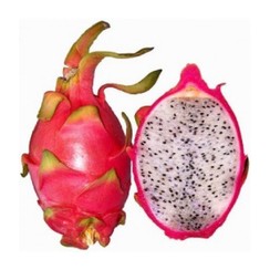 DRAGON FRUIT