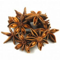 ANISE