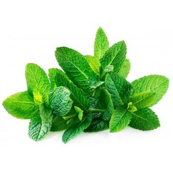 SPEARMINT