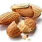 AW ITALIAN STYLE ALMOND