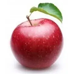 APPLE STARK