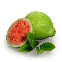 GUAVA
