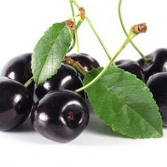 BLACK CHERRY DREAM