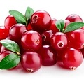AW GERMAN STYLE CRANBERRY